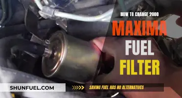 Maxima Fuel Filter: Changing it in 5 Easy Steps