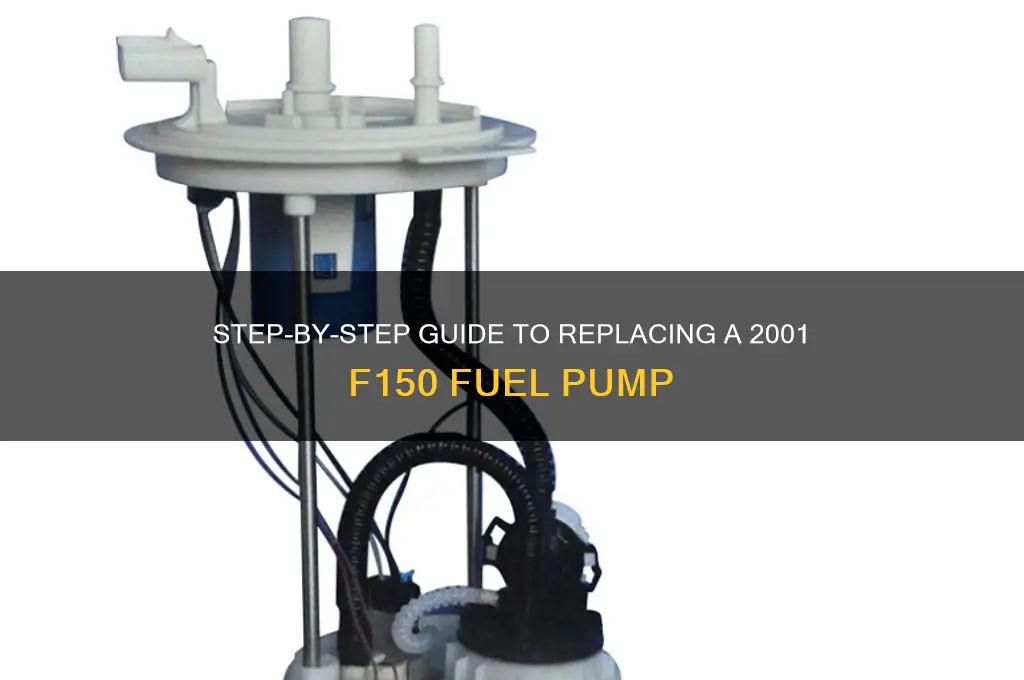 how to change 2001 f150 fuel pump