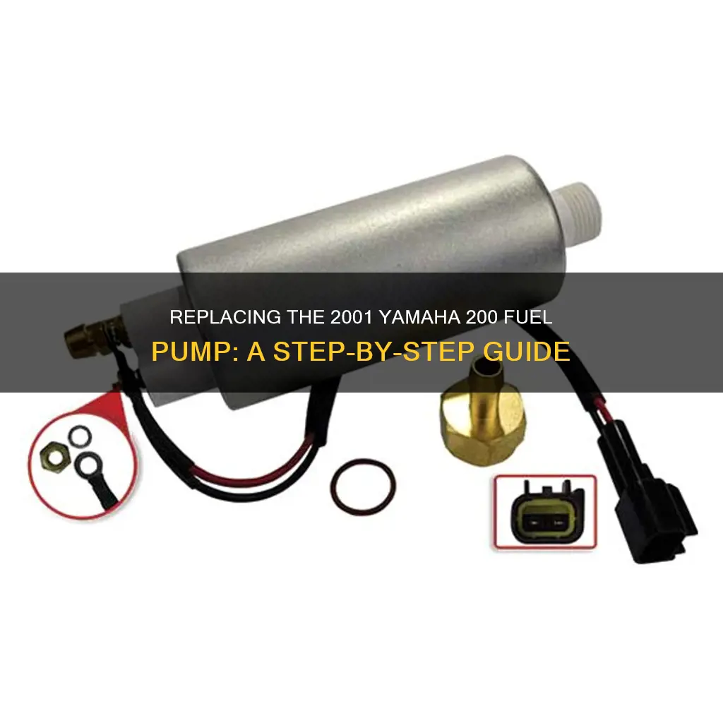 how to change 2001 yamaha 200 fuel pump