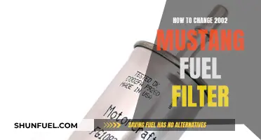 Changing Fuel Filters: 2002 Mustang Guide