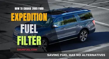 Ford Expedition Fuel Filter: Changing the 2005 Model