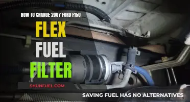 Replacing the Flex Fuel Filter in Your 2007 Ford F150