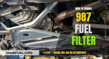 Easy Guide to Changing Your 987's Fuel Filter Yourself