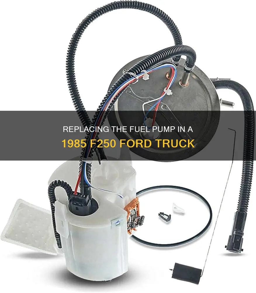 how to change a 1985 f250 ford fuel pump