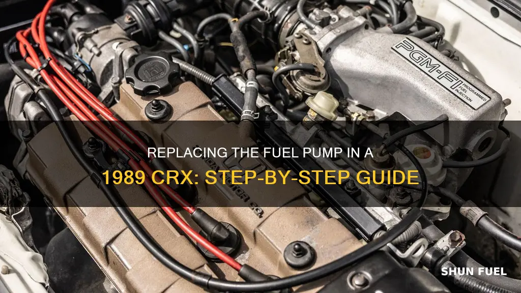 how to change a 1989 crx fuel punk