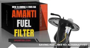 Changing Fuel Filters: 2005 Kia Amanti Guide