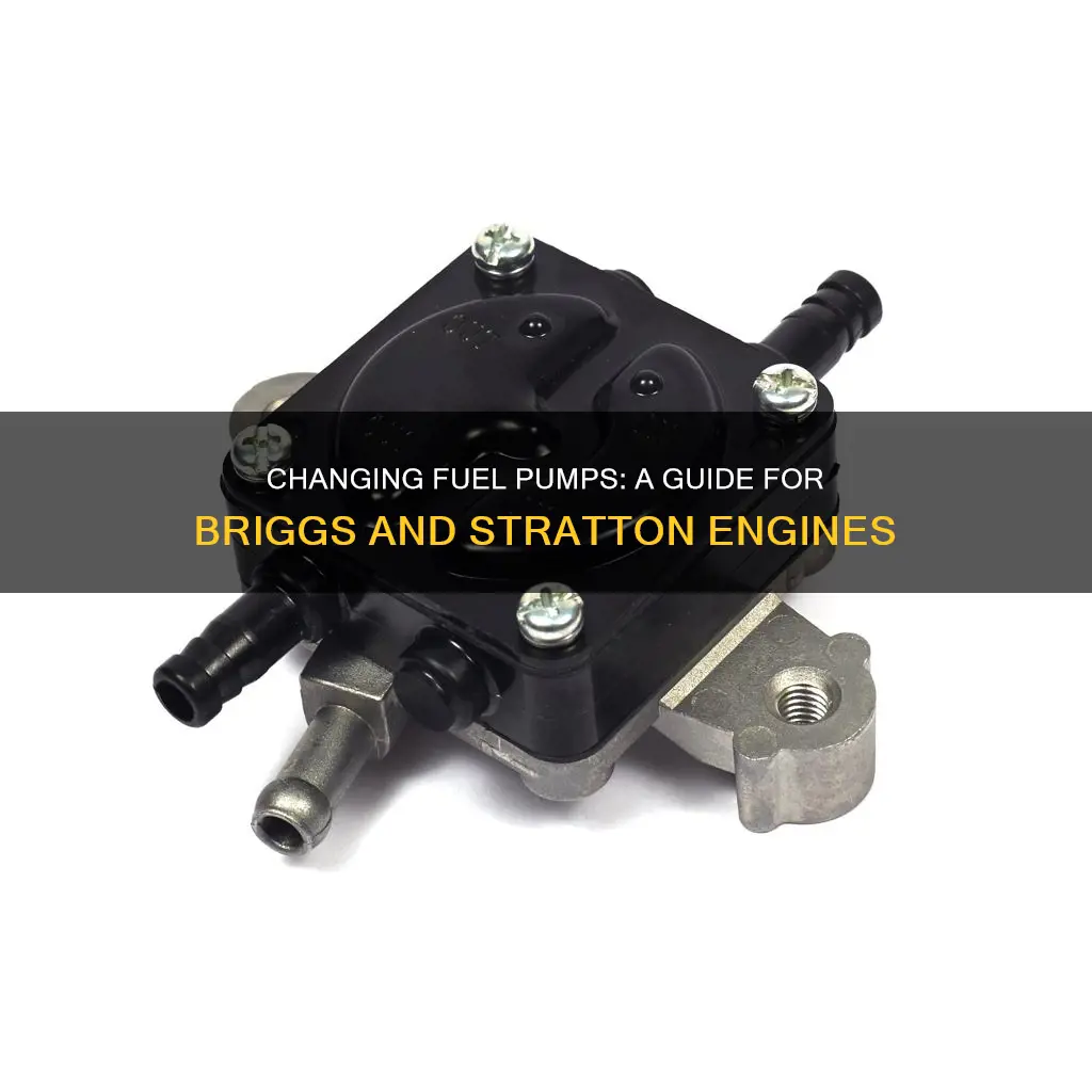 how to change a briggs and straton fuel pump