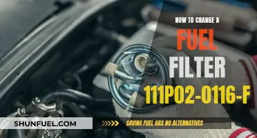 Simple Guide: Replacing Fuel Filter 111P02-0116-F1 in 10 Easy Steps