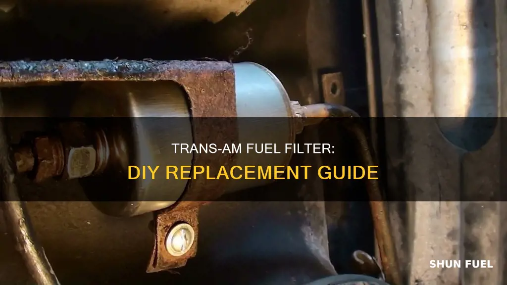 how to change a fuel filter in a 2001 trans-am