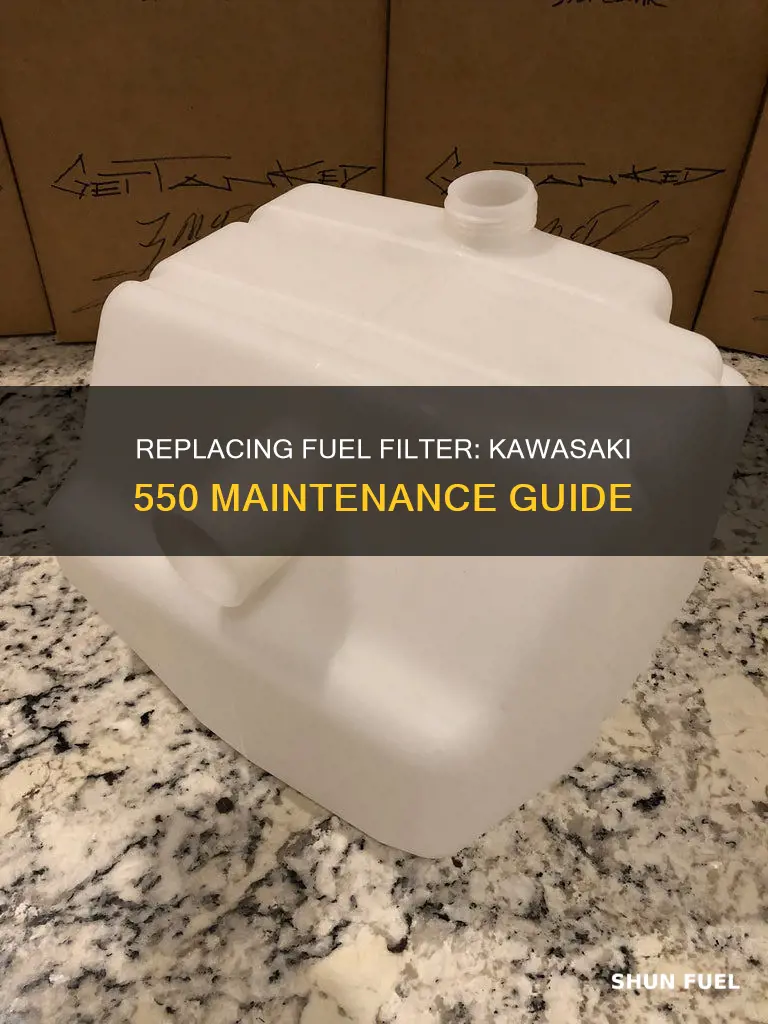 how to change a fuel filter kawasaki 550