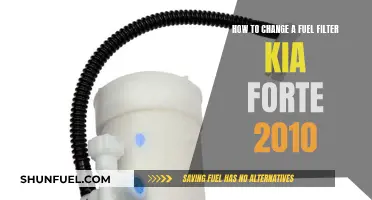 Changing Fuel Filters: 2010 Kia Forte Edition