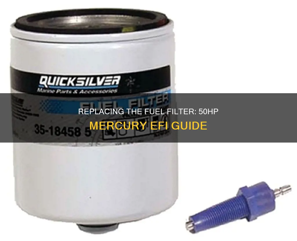 how to change a fuel filter on 50hp mercury efi