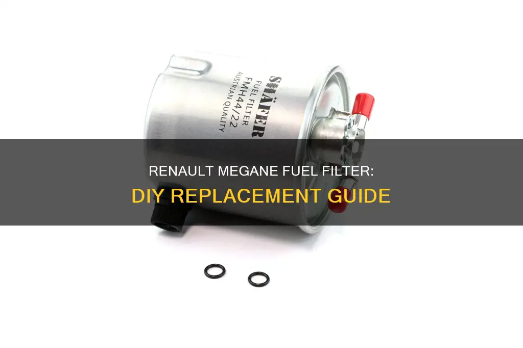 how to change a fuel filter on a renault megane
