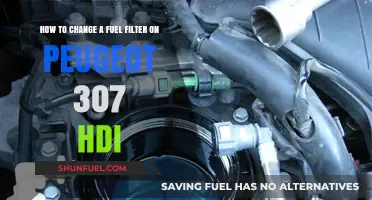 Changing Fuel Filter: Peugeot 307 HDi Guide