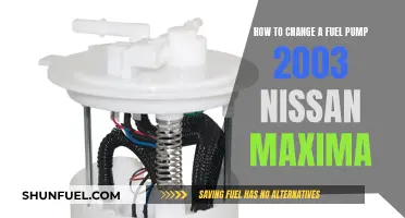 Replacing the Fuel Pump in a 2003 Nissan Maxima