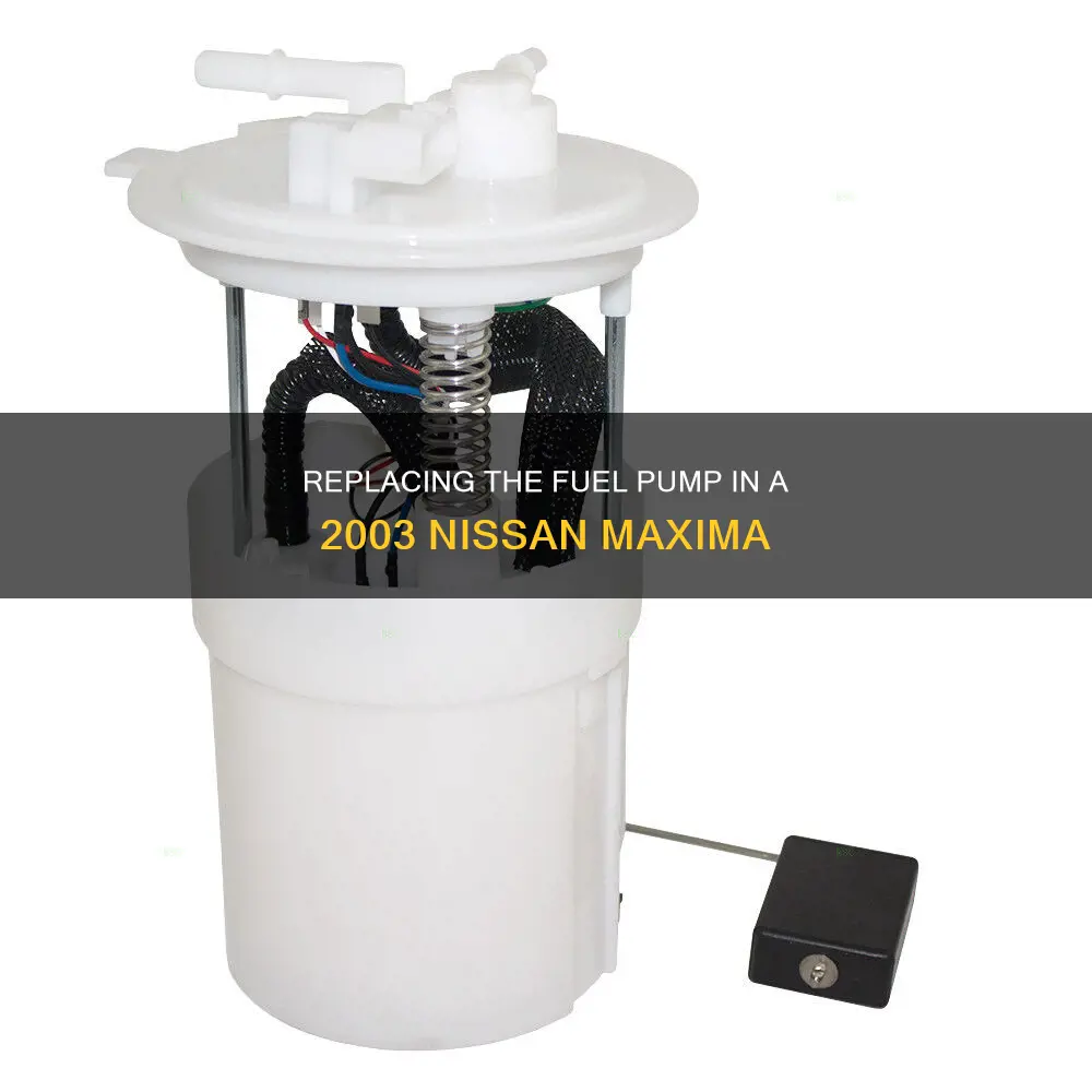 how to change a fuel pump 2003 nissan maxima