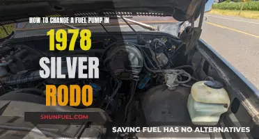 Replacing the Fuel Pump in Your Classic 1978 Silver Rodo