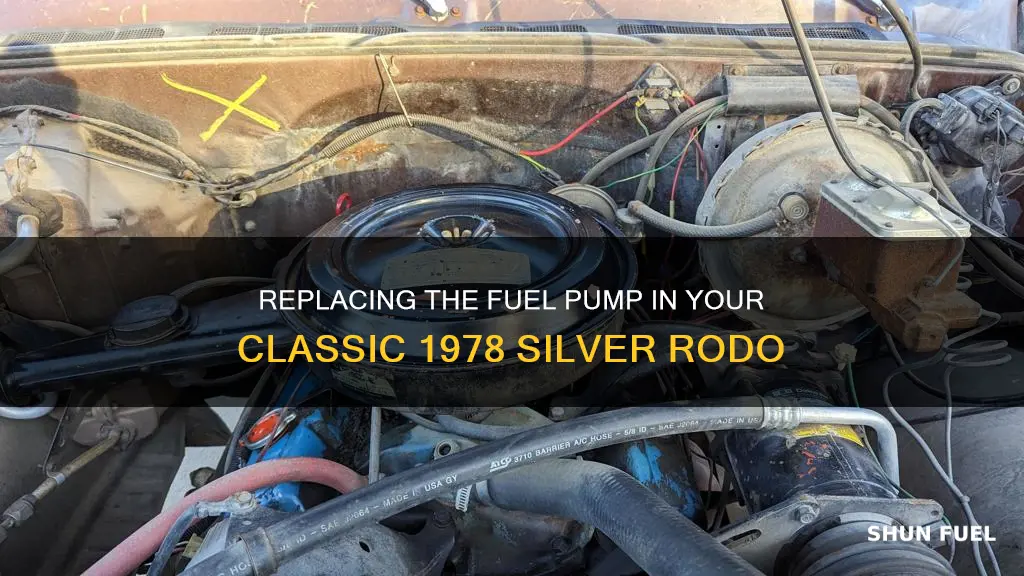 how to change a fuel pump in 1978 silver rodo