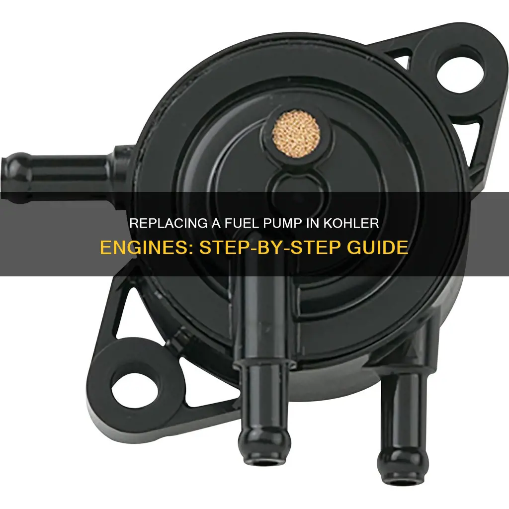 how to change a fuel pump on a kohler engine