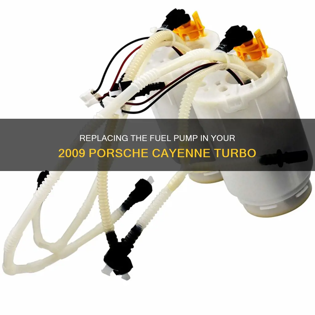 how to change a porsche cayenne turbo fuel pump 2009