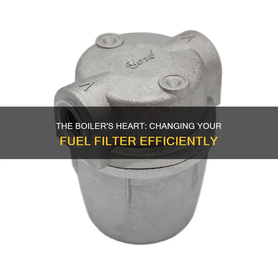 how to change boiler fuel filter