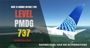 Customizing Your Flight: Adjusting Default Fuel Levels in the PMDG 737