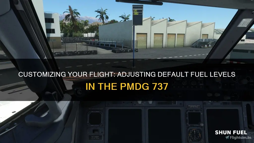 how to change default fuel level pmdg 737