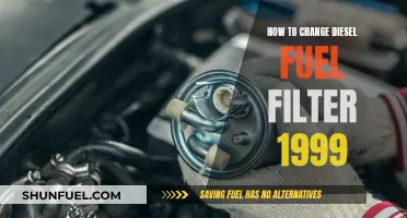 Replacing the Diesel Fuel Filter in a 1999 Car