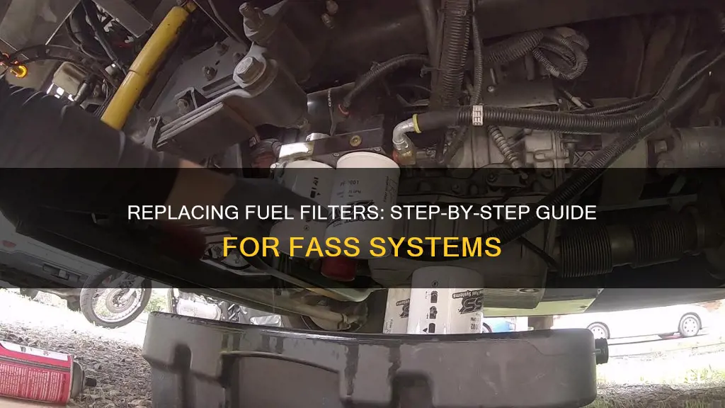 how to change fass fuel filters