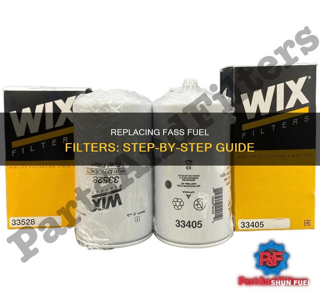 how to change filters on fass fuel system