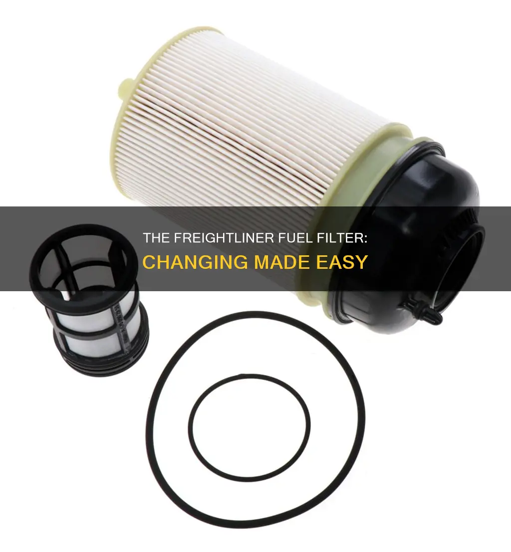 how to change freightliner fuel filter