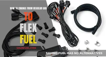 Switching to Flex Fuel: A Guide for Gas Users