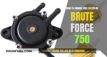 Brute Force 750 Fuel Filter: DIY Guide to Changing It