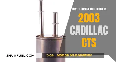 Changing Fuel Filters: 2003 Cadillac CTS Guide