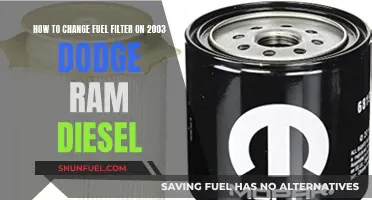 Changing Fuel Filter on 2003 Dodge Ram Diesel: Step-by-Step Guide