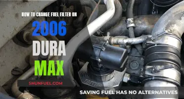 Changing Fuel Filters: 2006 Dura Max Edition