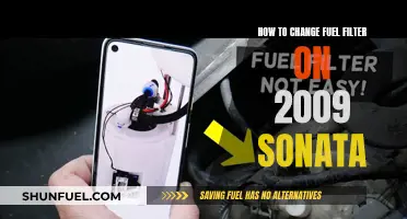 Changing Fuel Filters: 2009 Sonata Guide