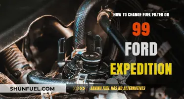 Expedition Fuel Filter Change: DIY Guide for '99 Models