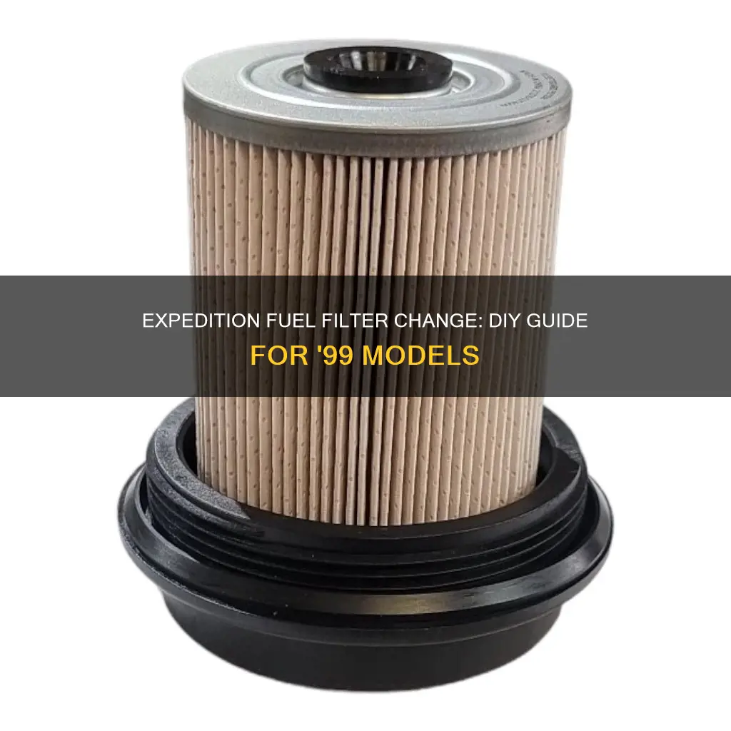 how to change fuel filter on 99 ford expedition