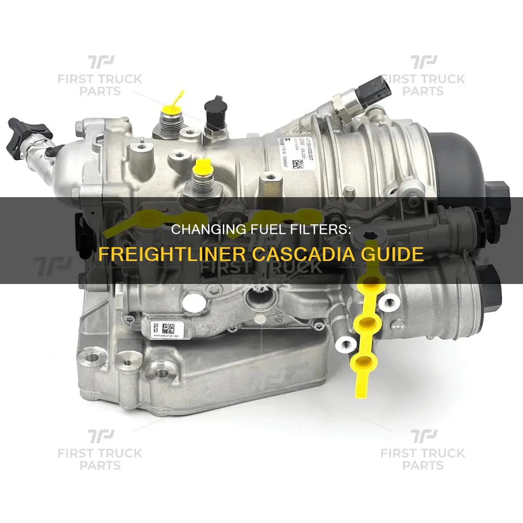 how to change fuel filter on a freightliner cascadia