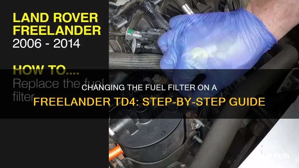 how to change fuel filter on freelander td4 2001