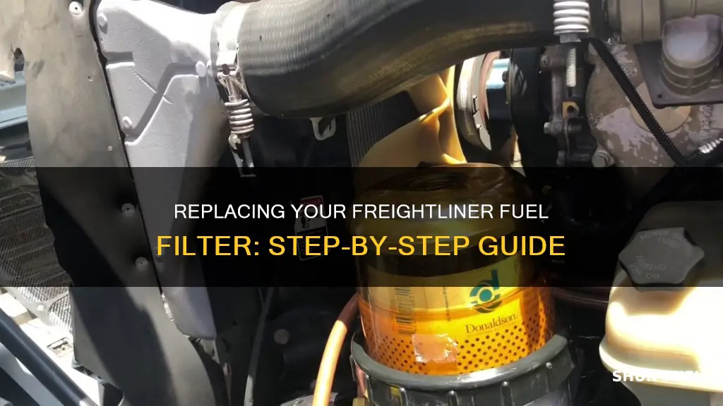 how to change fuel filter on frightliner