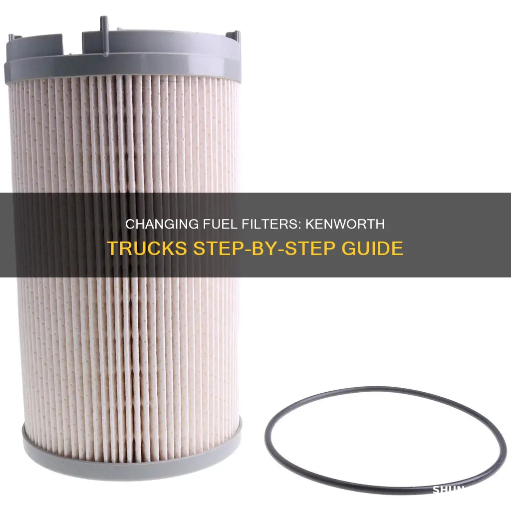 how to change fuel filter on kenworth