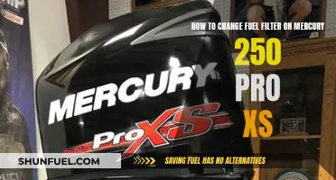 Changing Fuel Filter: Mercury 250 Pro XS Guide