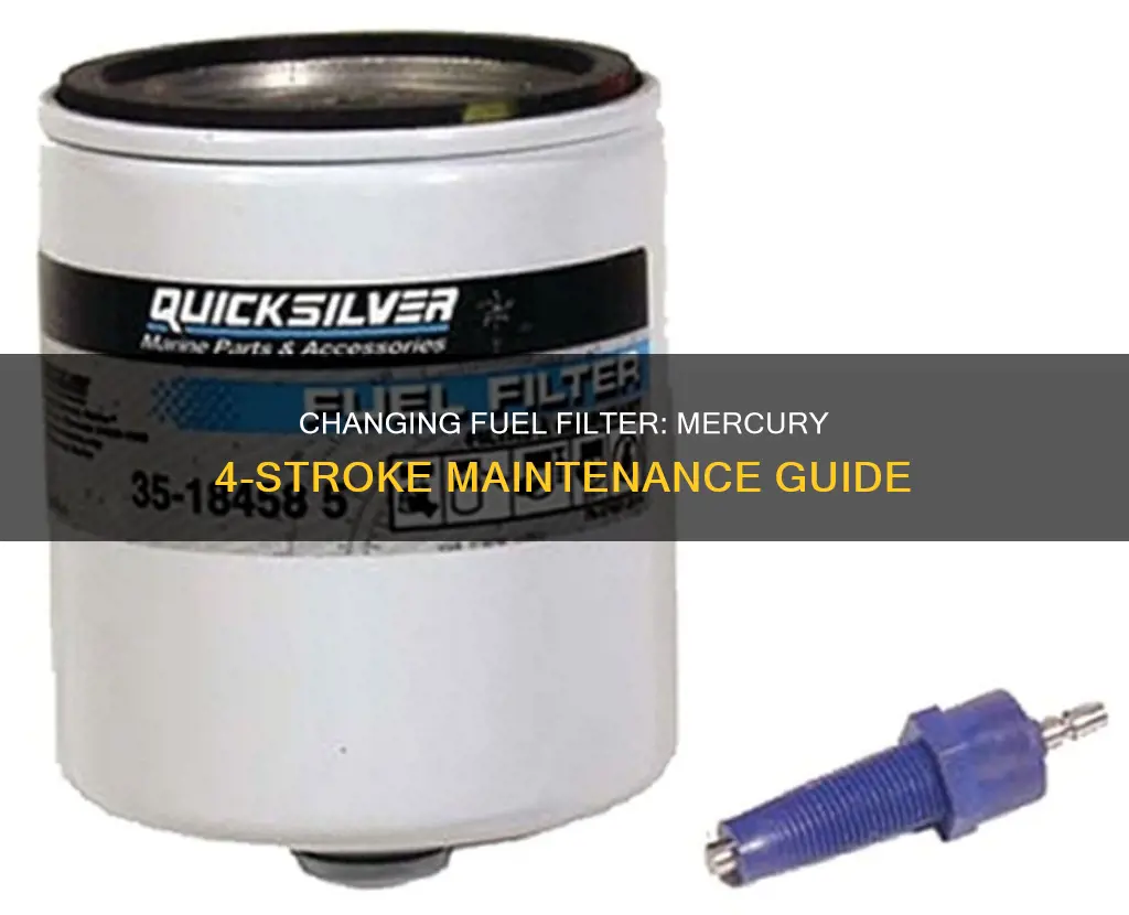 how to change fuel filter on mercury 4 stroke