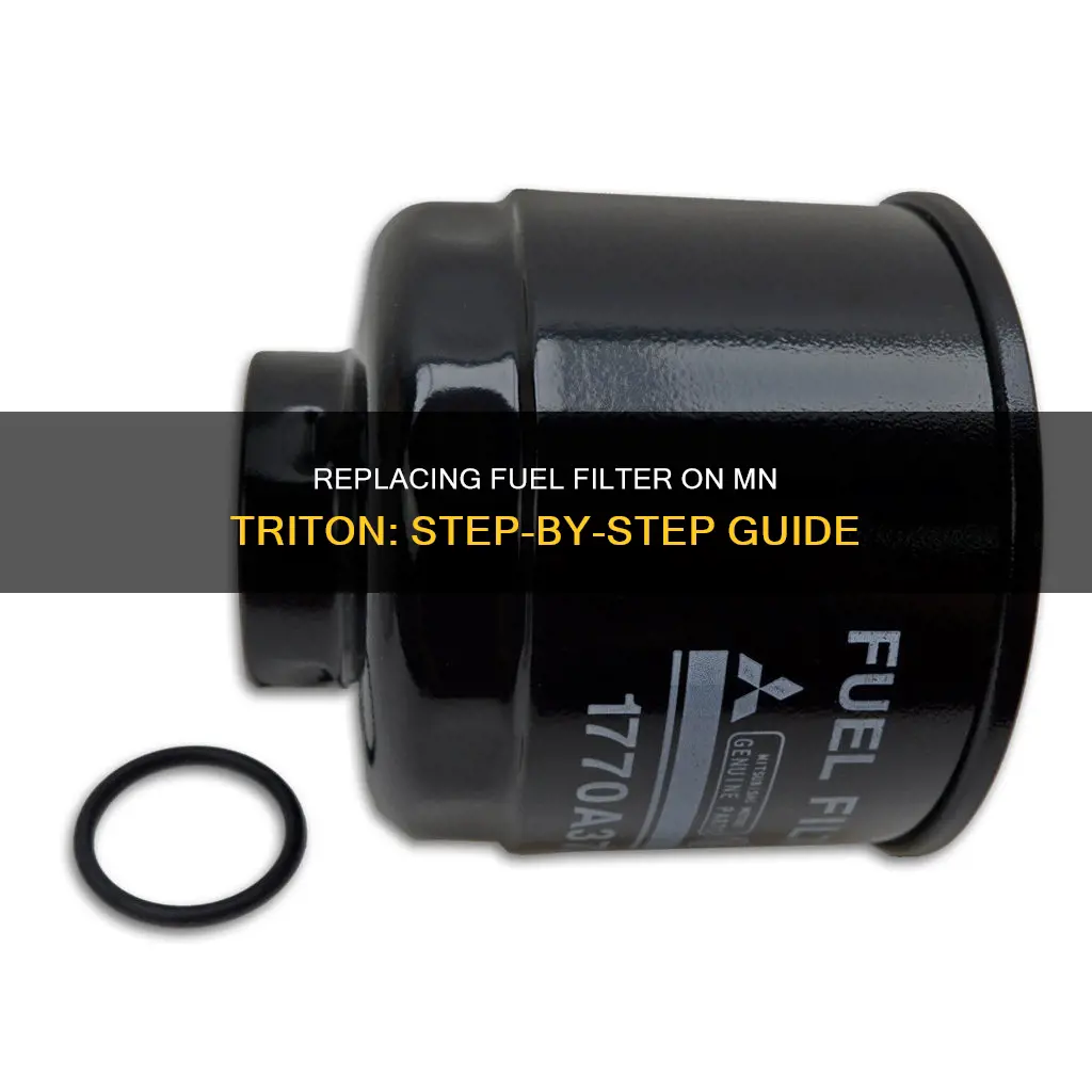 how to change fuel filter on mn triton