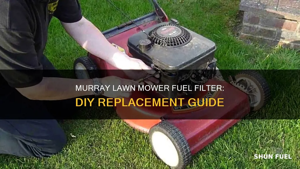 how to change fuel filter on murray lawn mower