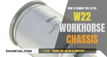 Replacing Fuel Filter: Workhorse W22 Chassis Guide