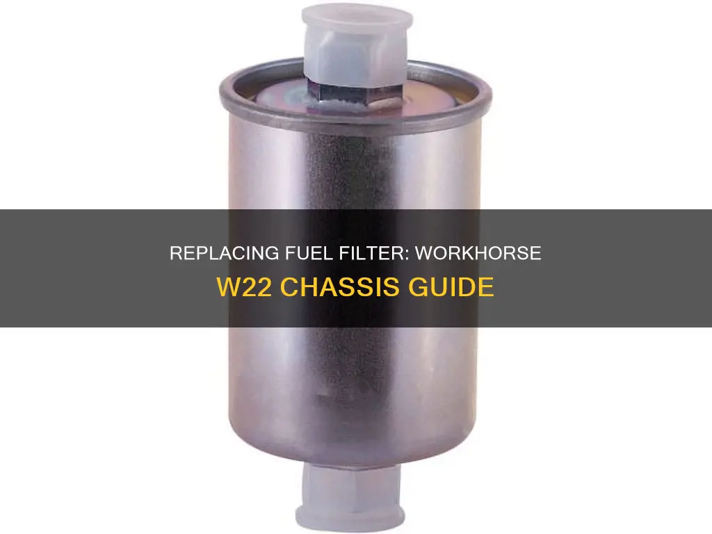 how to change fuel filter w22 workhorse chassis