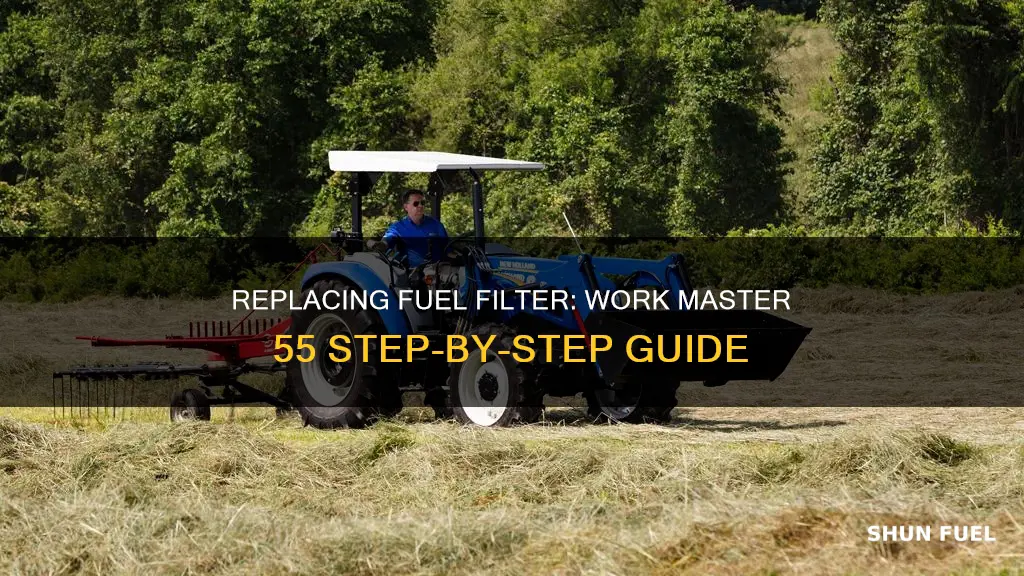 how to change fuel filter work master 55